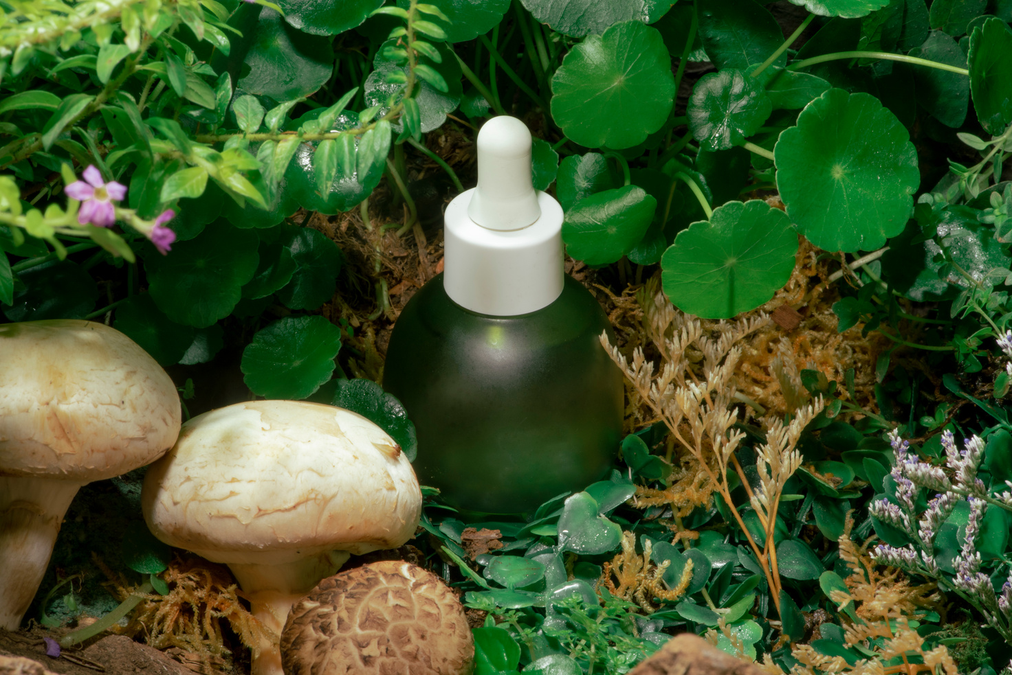 Green Bottle of Natural Cosmetic Serum